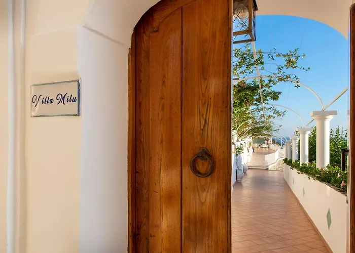 Milu * プライアーノ